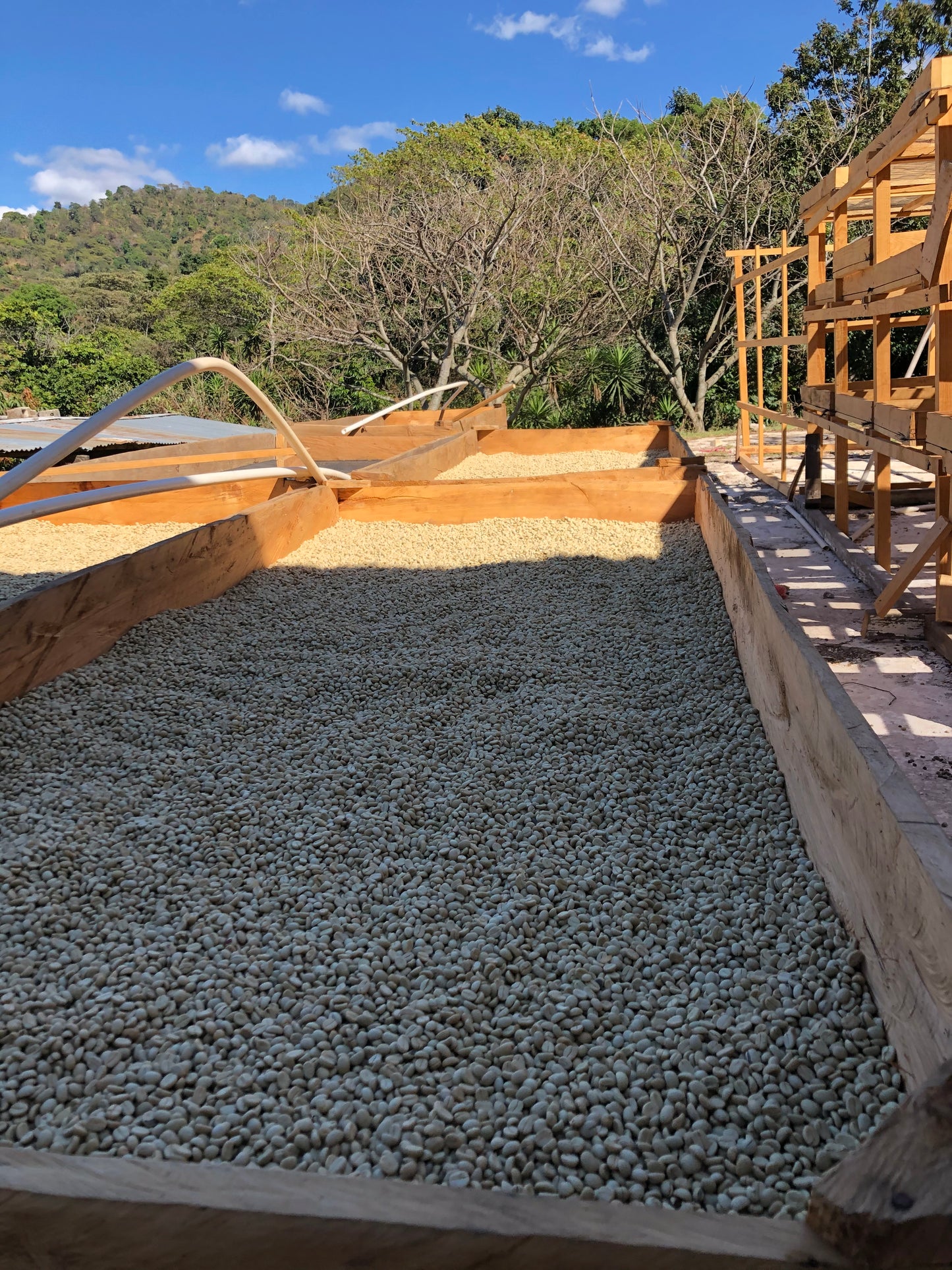 GUATEMALA EDER JIMENEZ