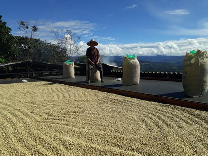 COLOMBIA JENARO BURBANO