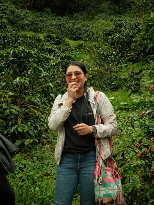 COLOMBIA FRANCY CASTILLO HONEY