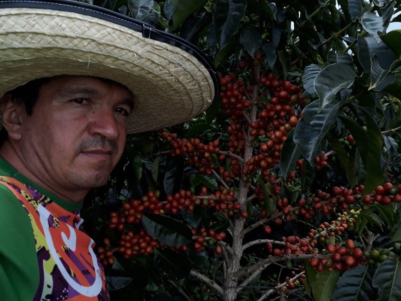 COLOMBIA JENARO BURBANO